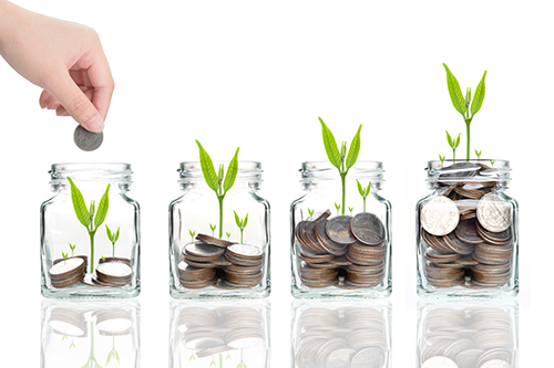 Glass Jars with Coins getting larger and growing seedlings