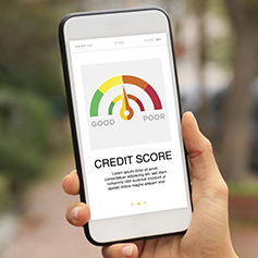 woman holding mobile phone and checking her credit score