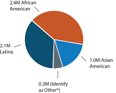 chart showing breakdown of women of color business owners by ethnicity